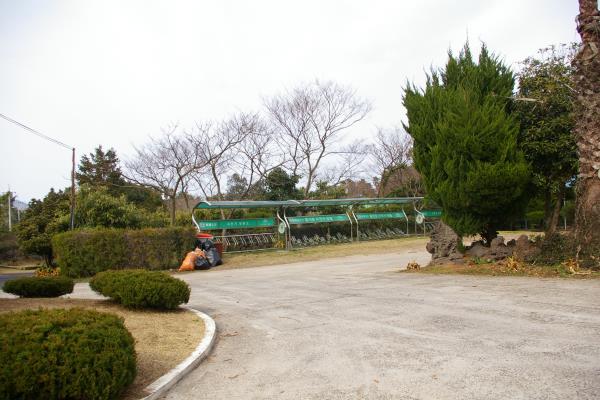 재릉초등학교