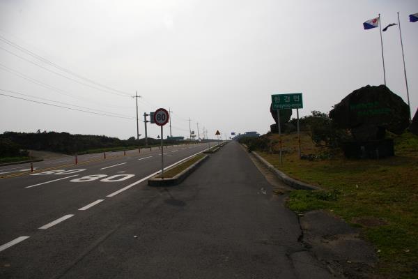 월령리 선인장 군락