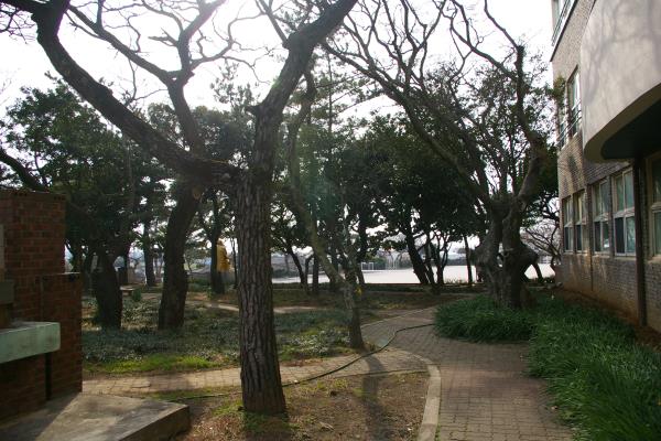 신창중학교