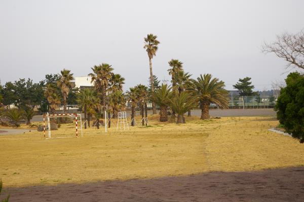 고산중학교