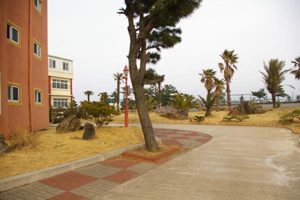 한국뷰티고등학교