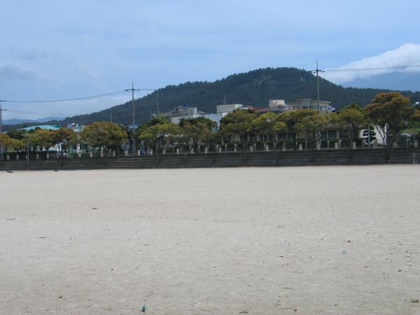 제주중앙중학교