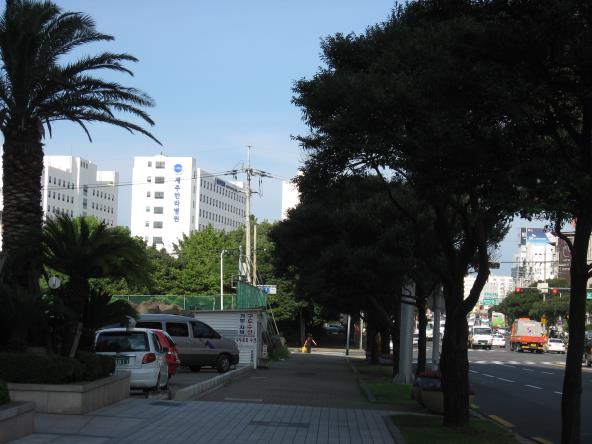 한라병원 부근 도로