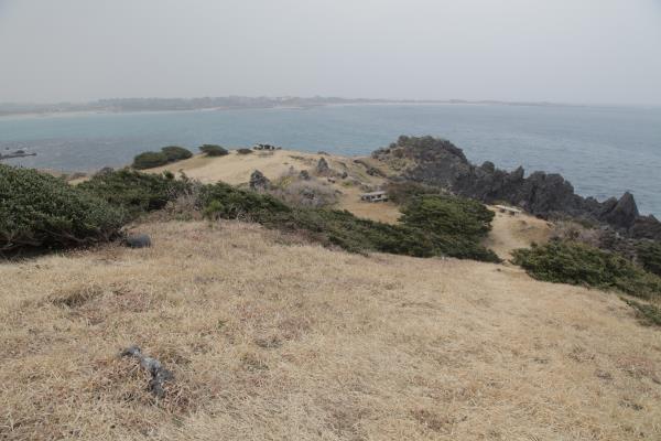 종달~세화 해안도로