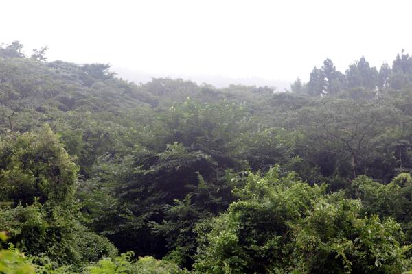 거문오름(검은오름)