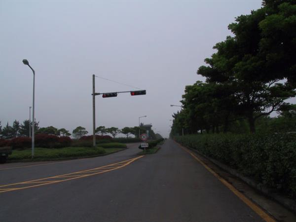 남조로