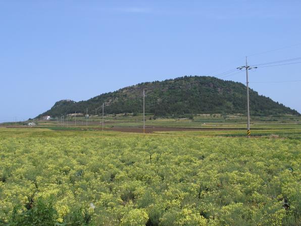 엉알해안산책로