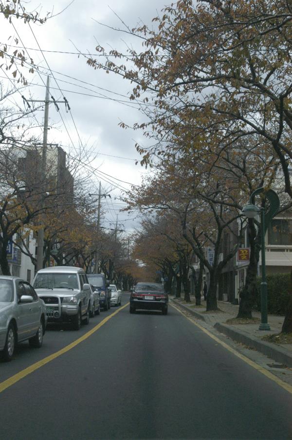 전농로
