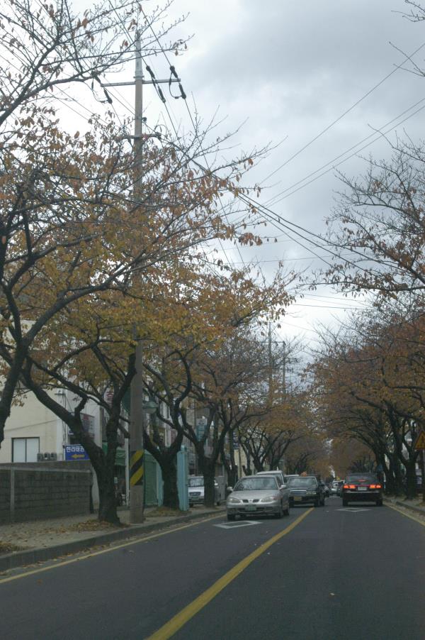 전농로