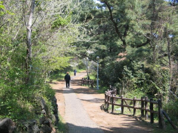 별도봉 산책로