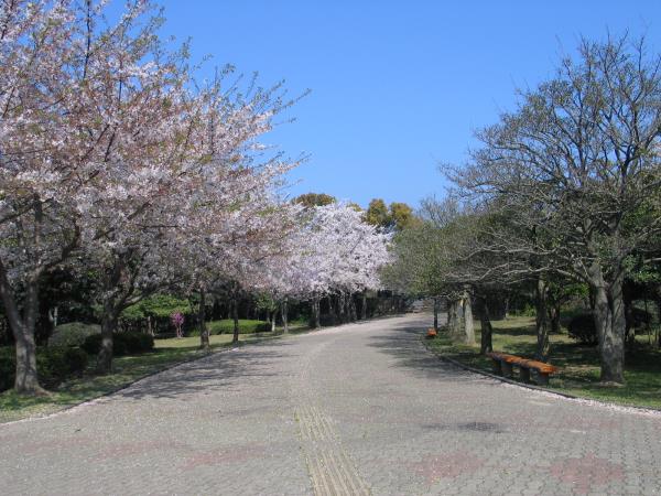 신산공원