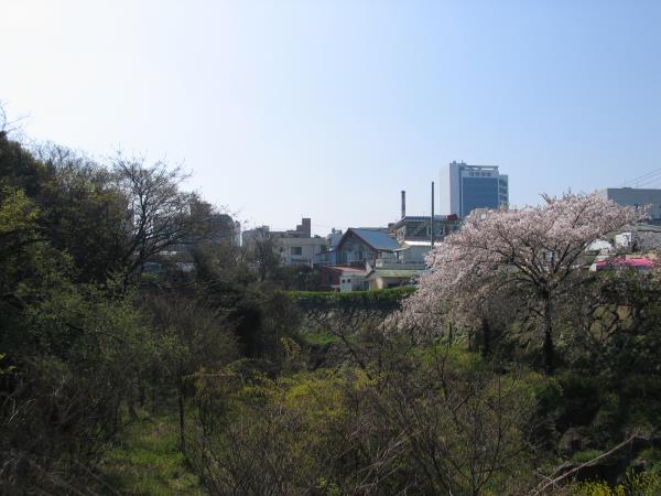 신산공원