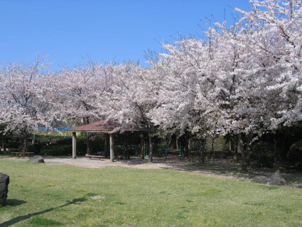 신산공원