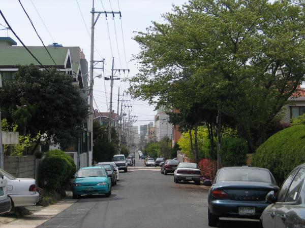제주중앙중학교