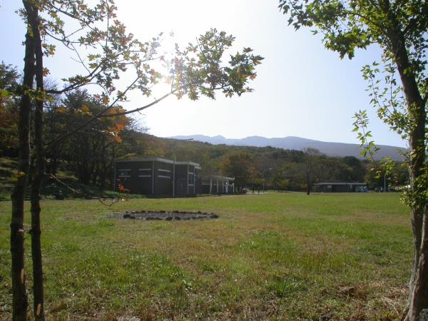 천왕사 도로