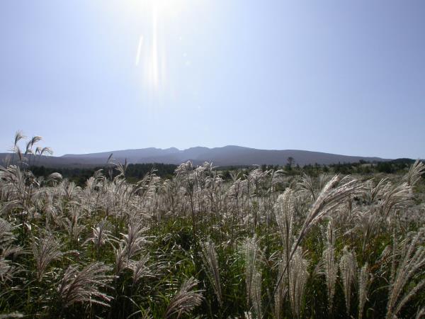 천왕사 도로