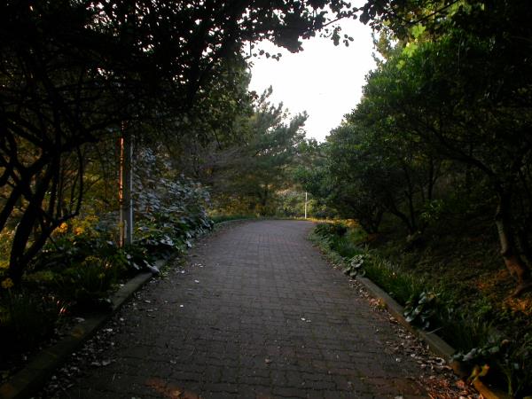 한라수목원