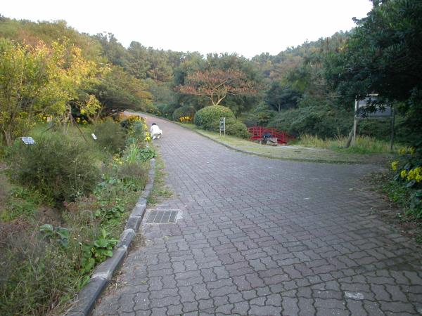 한라수목원